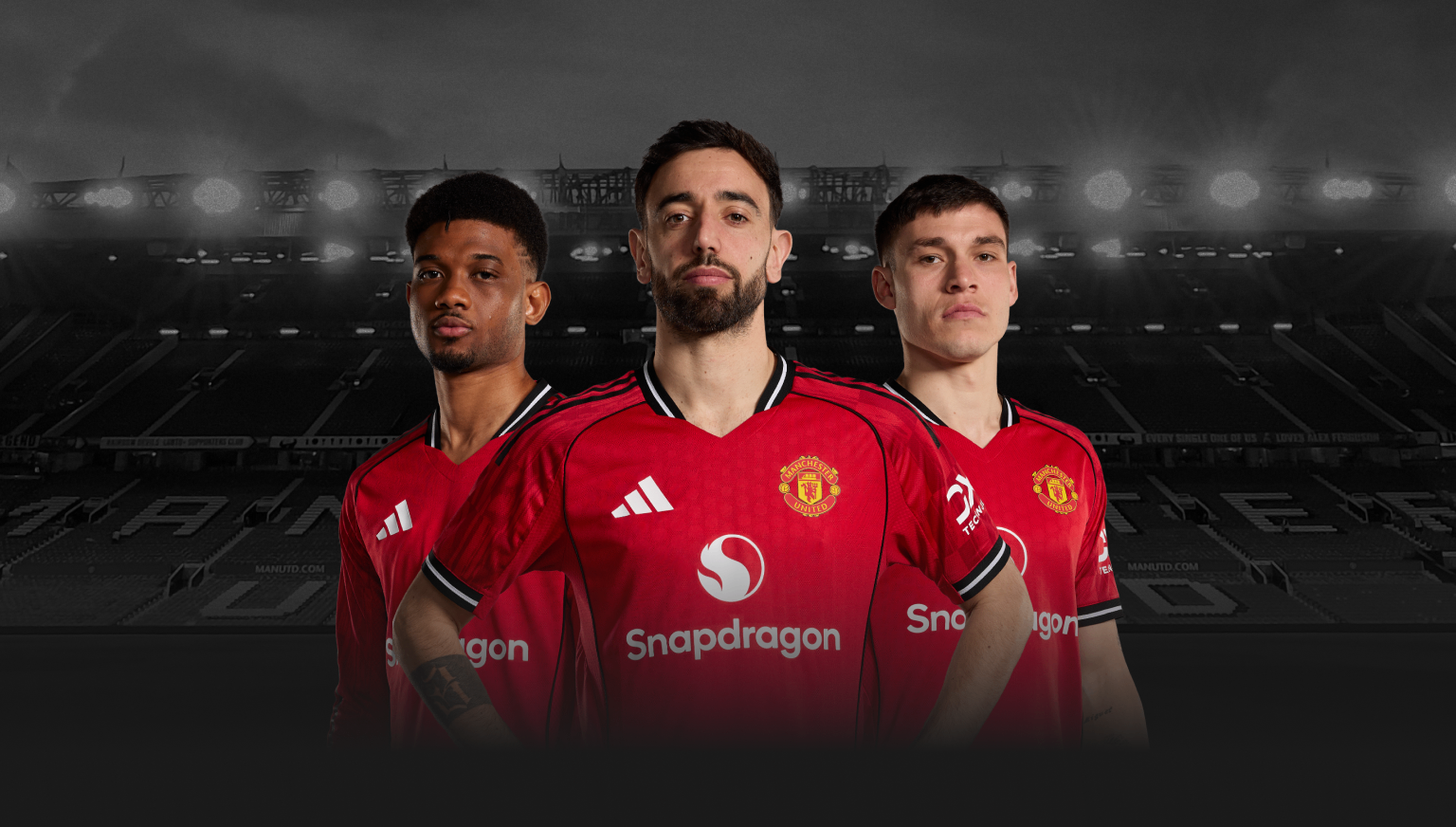 Image – Predictions Header Bruno