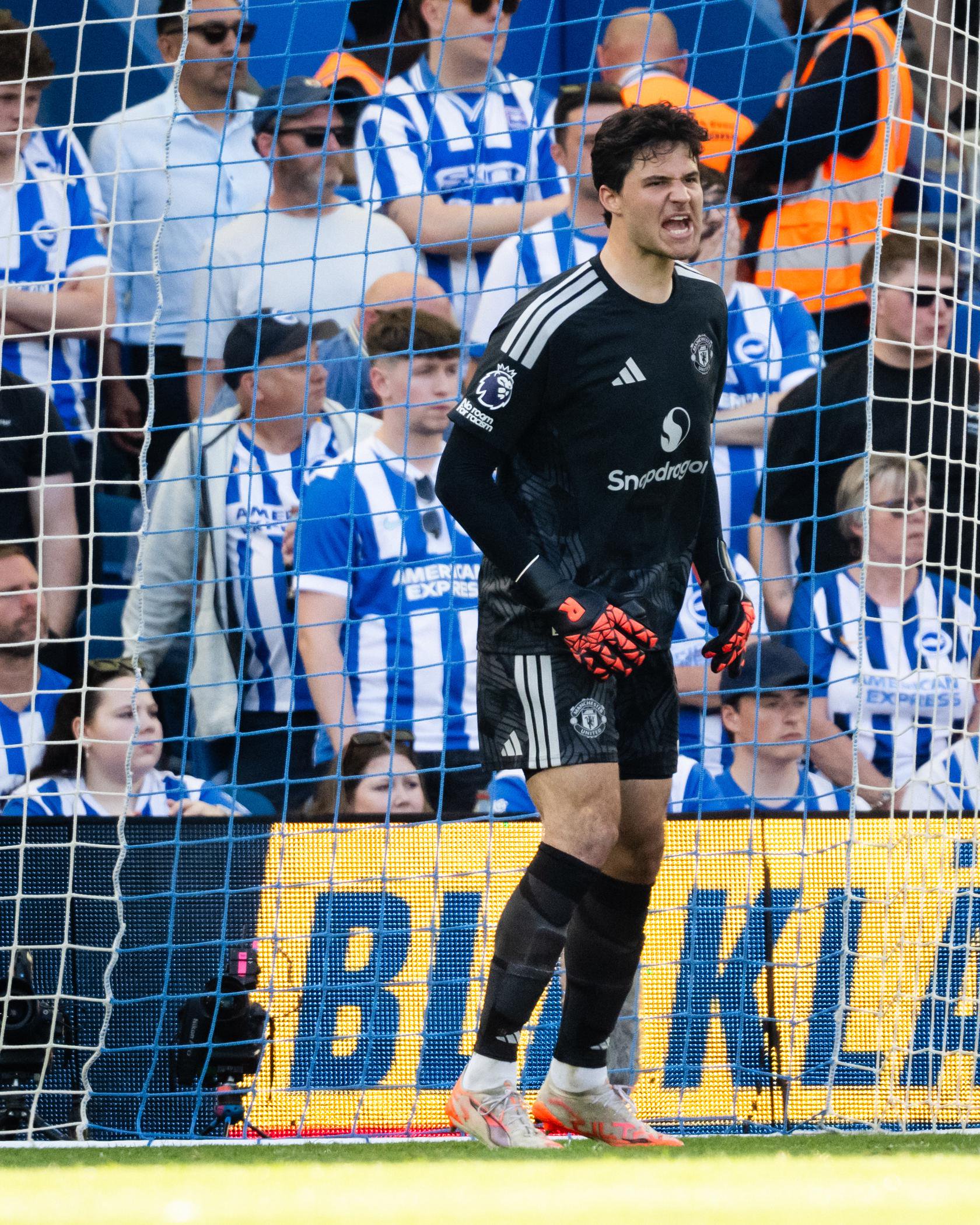 Senne Lammens angry at Brighton