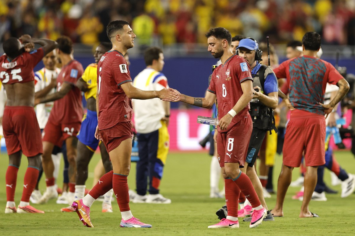 Lammens through as Portugal prepare for Croatia