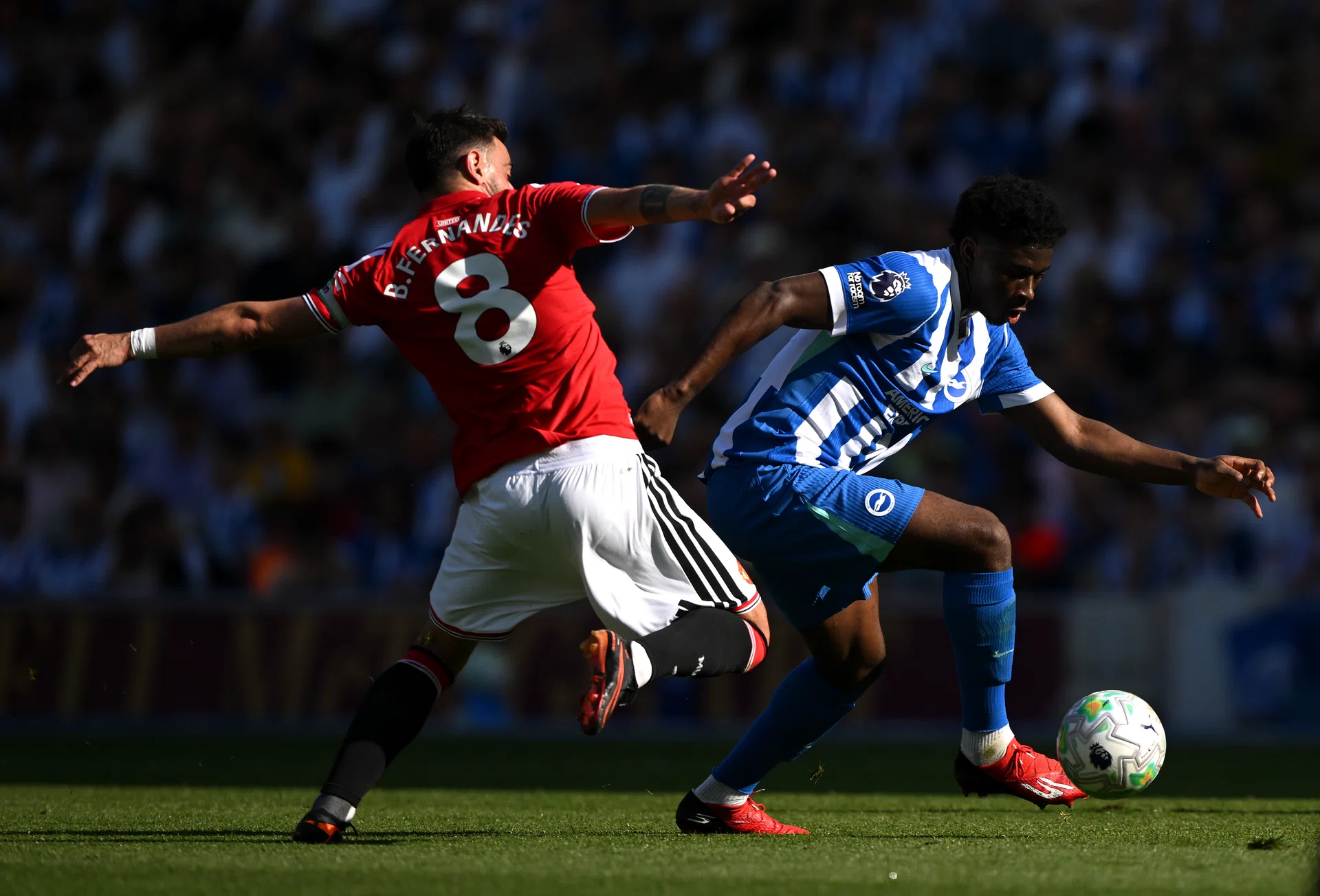 Carlos Baleba scrapping with Bruno Fernandes